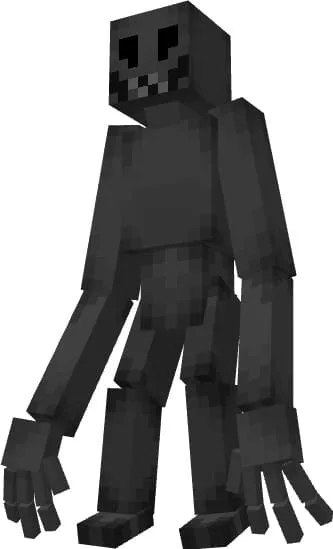 Вид дуллера