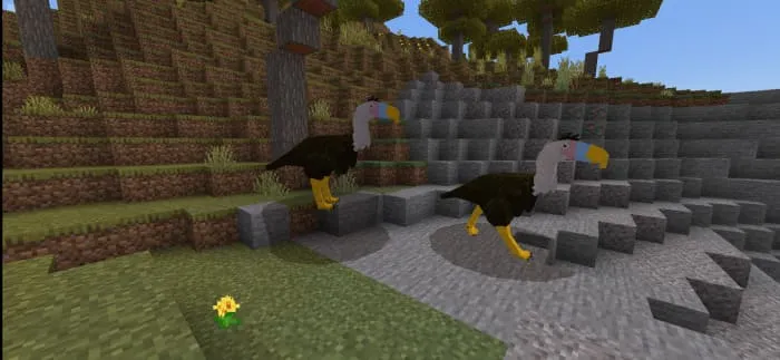 Птицы в поле