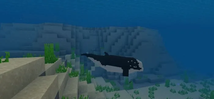 Доэстарическая касатка