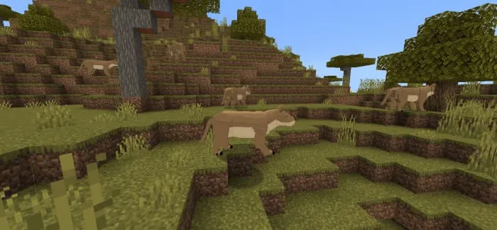 Большая птица