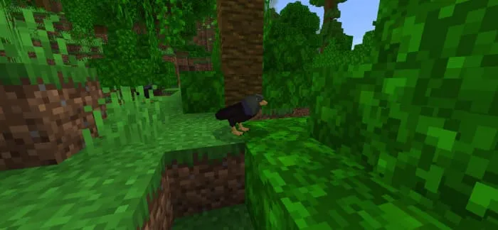 Птица на земле