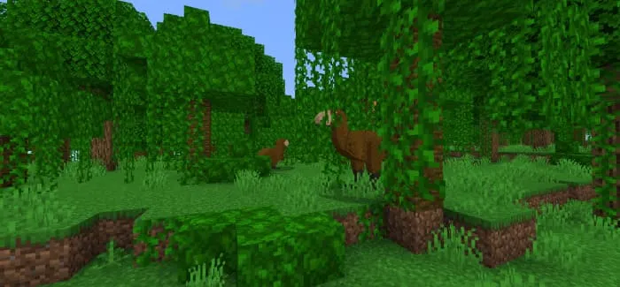 Птица в джунглях