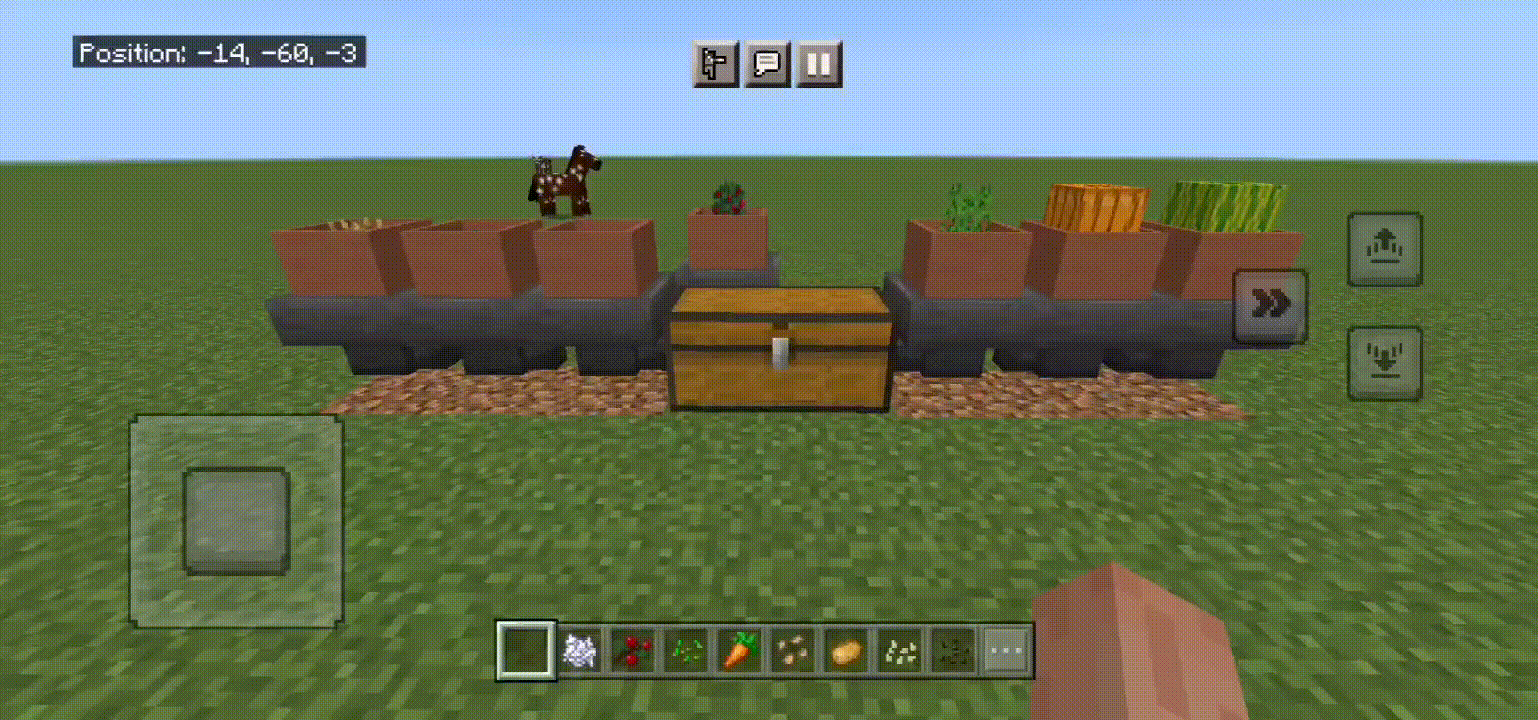 Рост растений