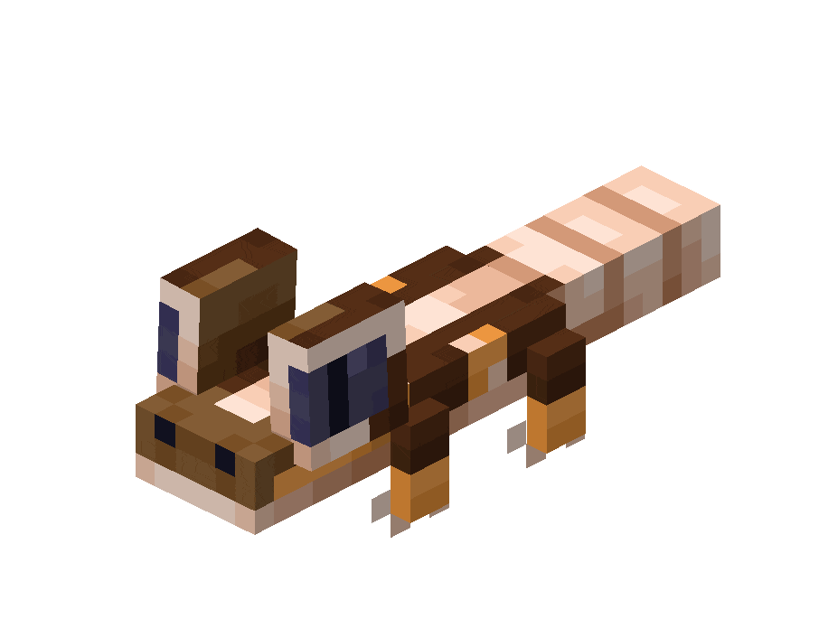 Вид геккона