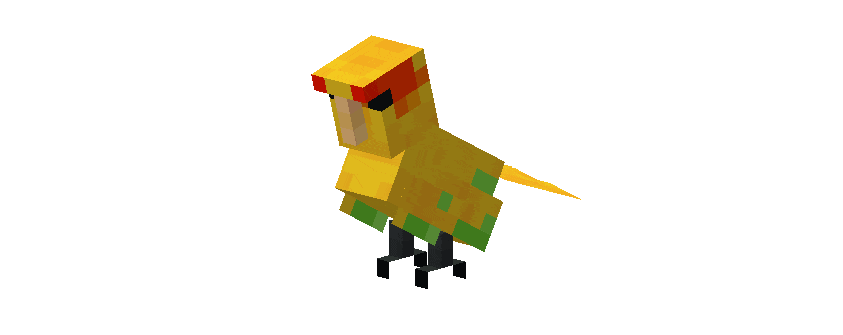 Вид попугая