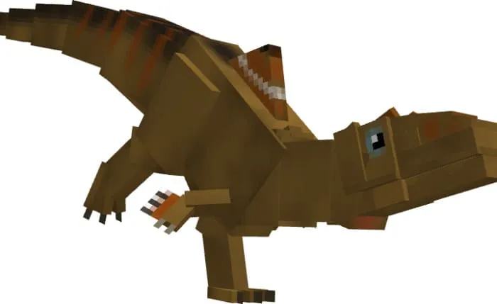 Вид конкавенатора