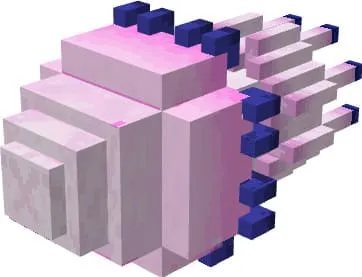 Вид физалии