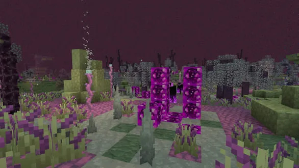 Вельветовый биом