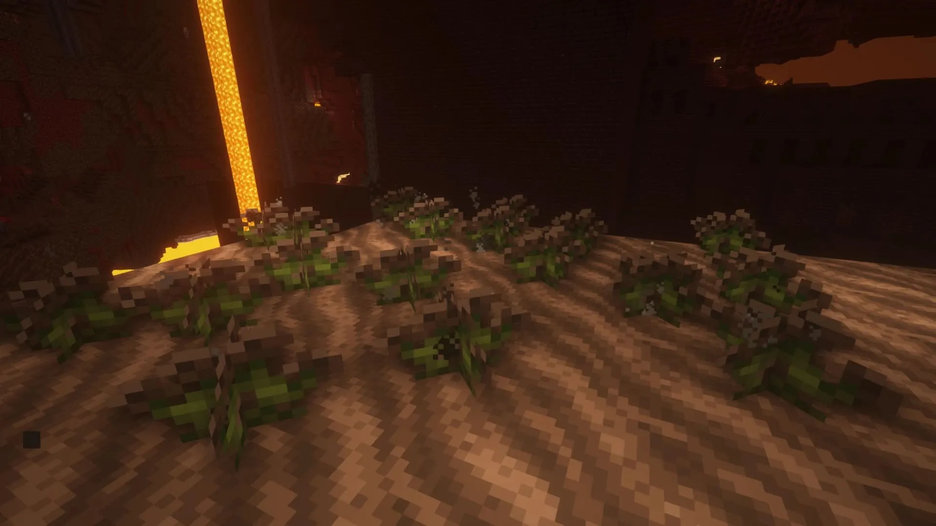 Цветы в нижнем мире