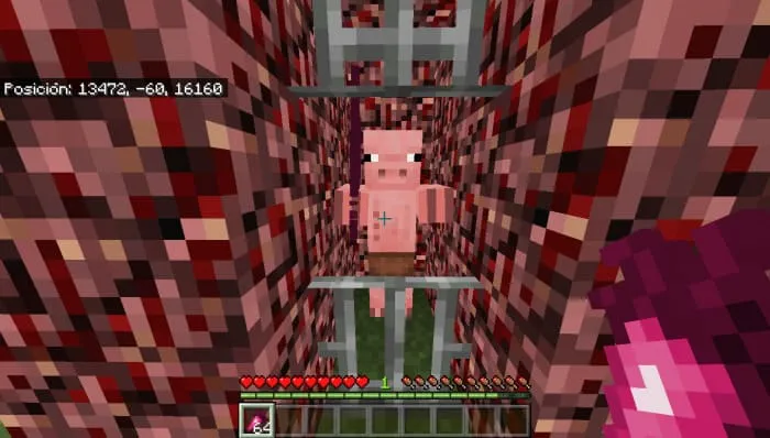 Обычный свиночеловек