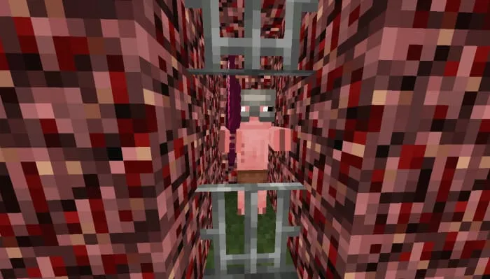 Свиночлеловек в шлеме