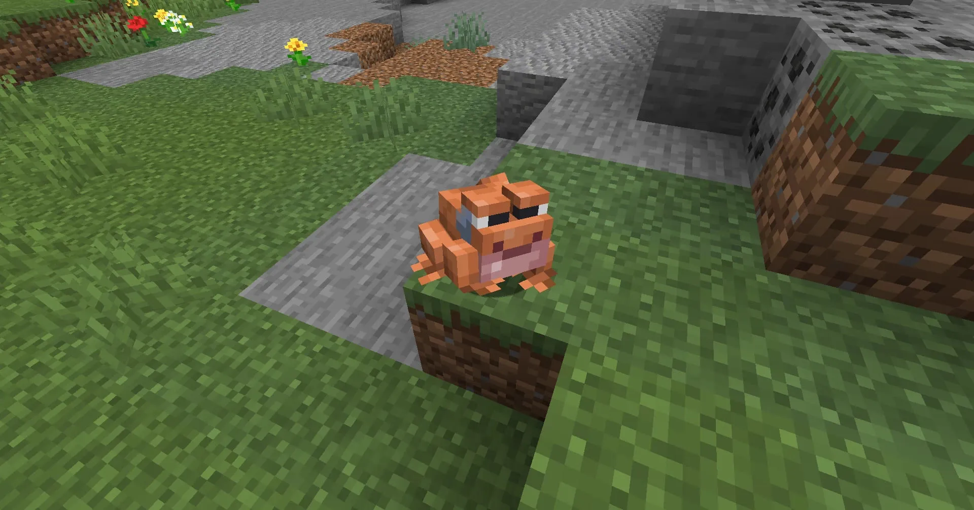 Лягушка на траве