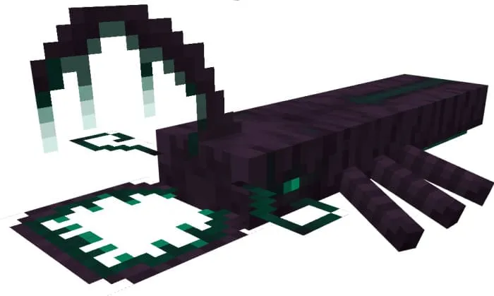 Вид скарабея края