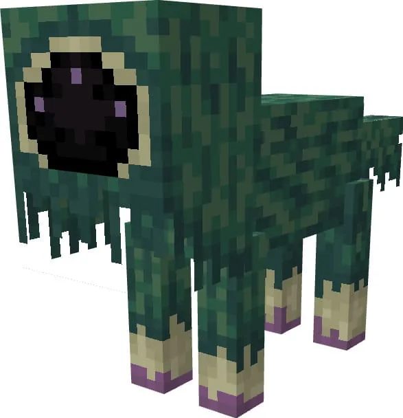 Вид зеллоида