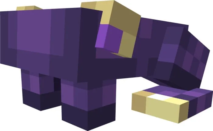 Вид лягушки края