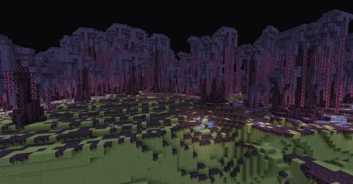 Биом лес края