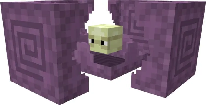 Вид усиленного шалкера