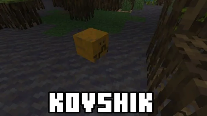 Вид ковшика