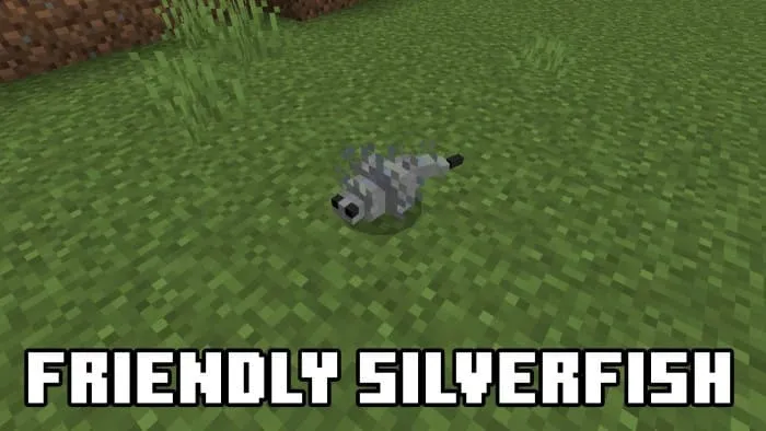 Вид дружелюбной чешуйницы