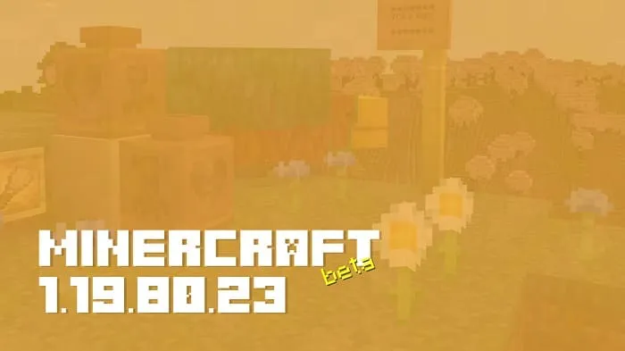 Minecraft 1.19.80.23