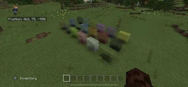 Вид прозрачного стелка