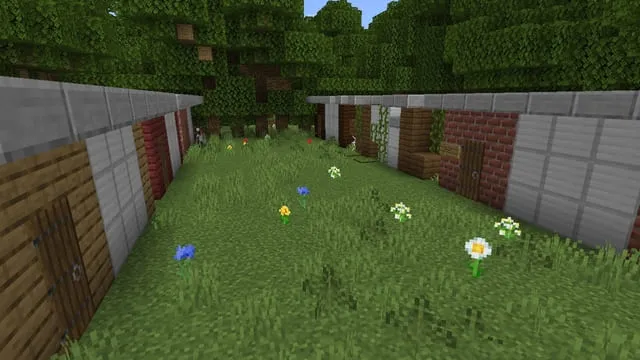 Гаражи возле леса