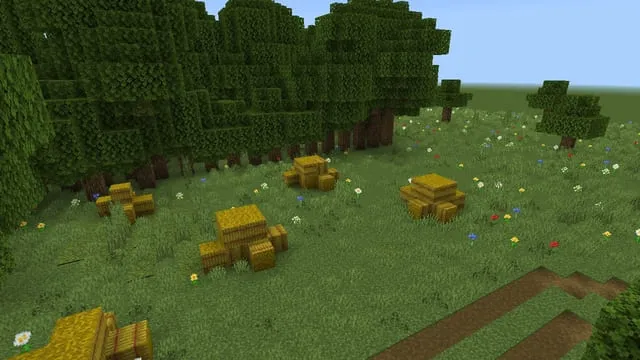 Сено и лесок