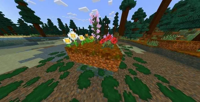 Новые текстуры цветов