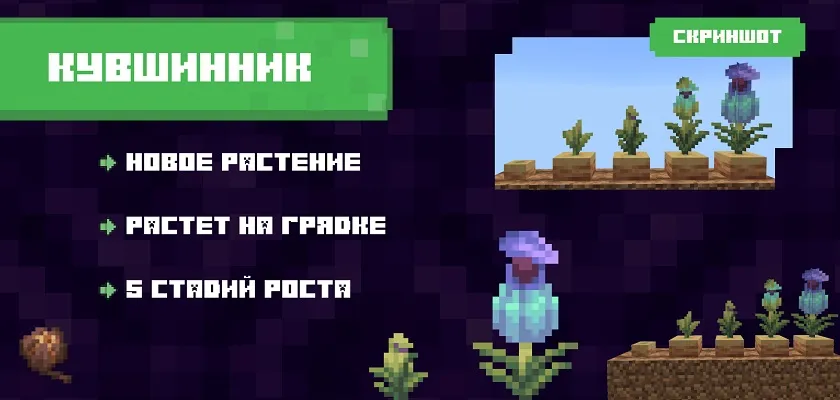 Описание Кувшинника из Майнкрафт