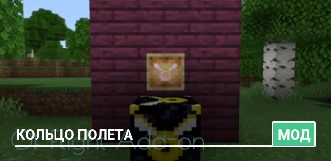 Мод: Кольцо полета