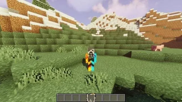 Вид рамки в игре