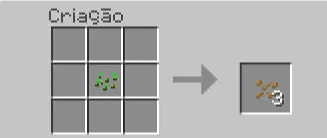 Семена фруктов