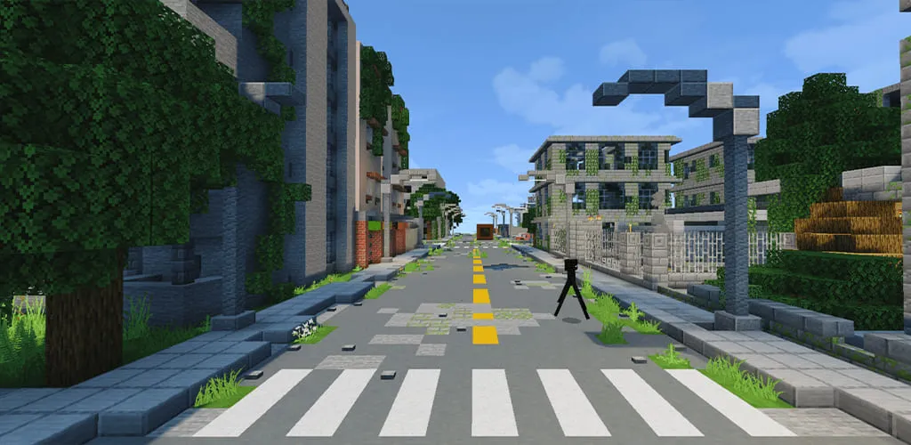 Улицы города