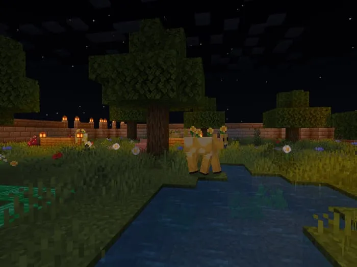 Животное в зоопарке