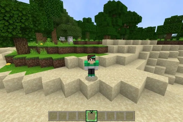 Вид рамки в игре