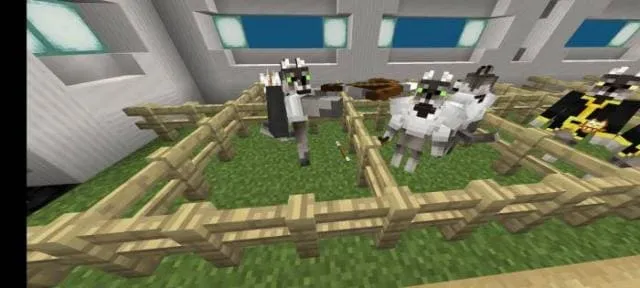 Вид волков жителей