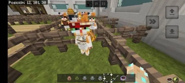 Вид жителя кота