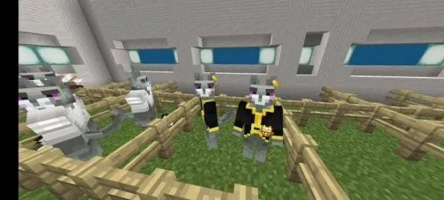 Коты торговцы