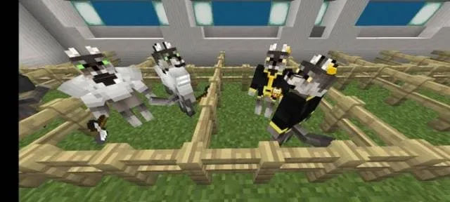 Жители волки