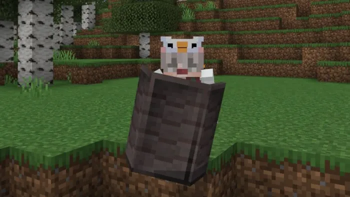 Незеритовый щит