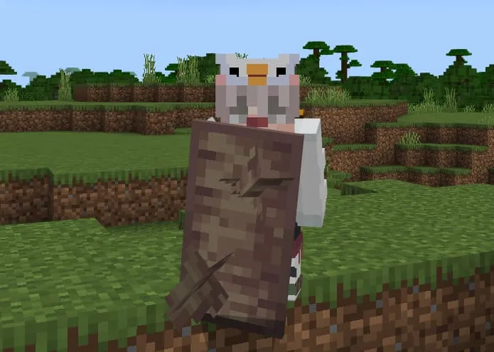 Капельниковый щит