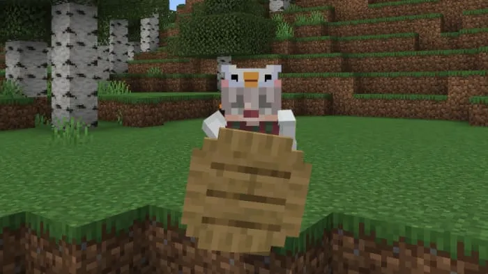 Деревянный щит