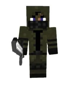 Вид рейдера