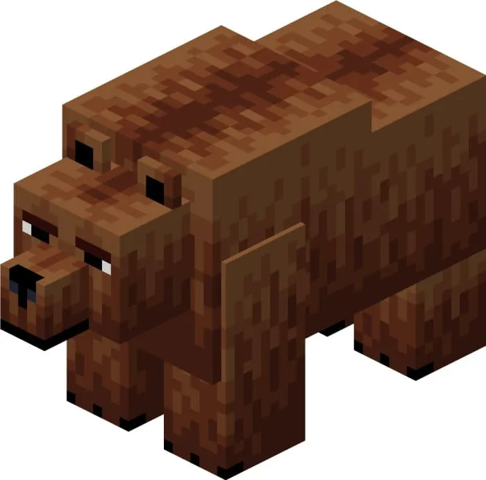 Вид медведя гризли