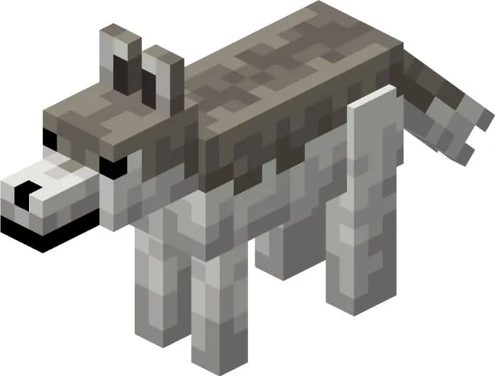 Вид лесного волка