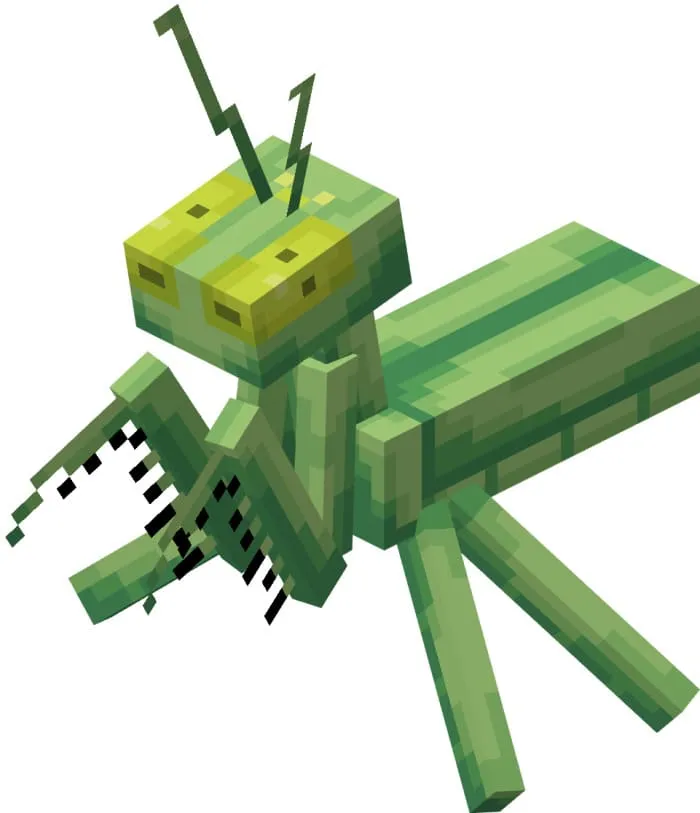 Вид богомола