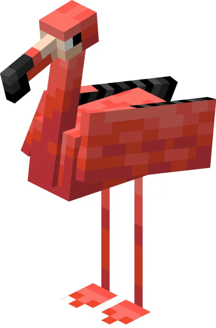 Вид фламинго