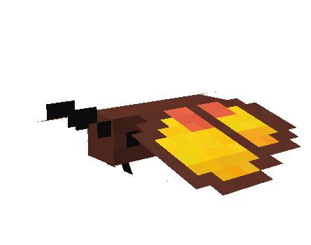 Вид бабаочки