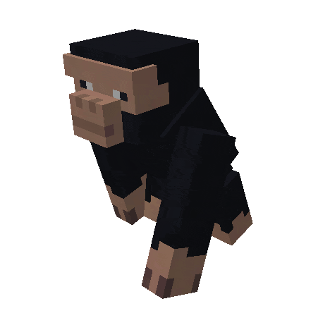 Вид шимпанзе