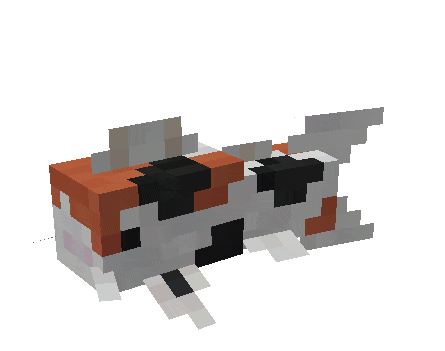 Вид рыбы кои